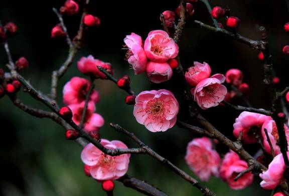 汉中一日游攻略高铁,汉中周边2-3天短途旅游坐高铁
