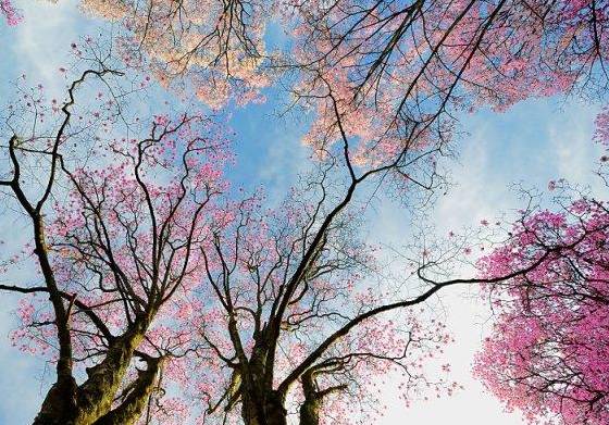 汉中一日游攻略高铁,汉中周边2-3天短途旅游坐高铁