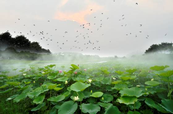 汉中一日游攻略高铁,汉中周边2-3天短途旅游坐高铁