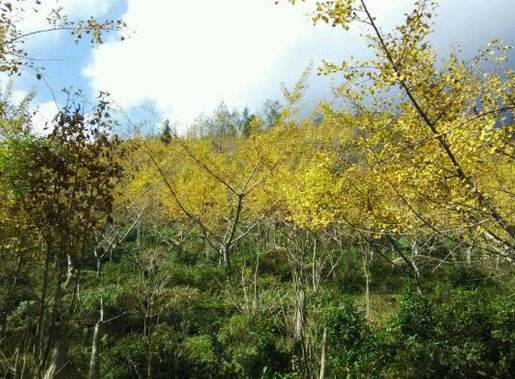 汉中一日游攻略高铁,汉中周边2-3天短途旅游坐高铁