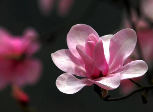 汉中一日游攻略高铁,汉中周边2-3天短途旅游坐高铁