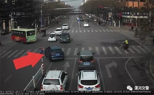 漯河违停曝光,漯河违法停车最新消息