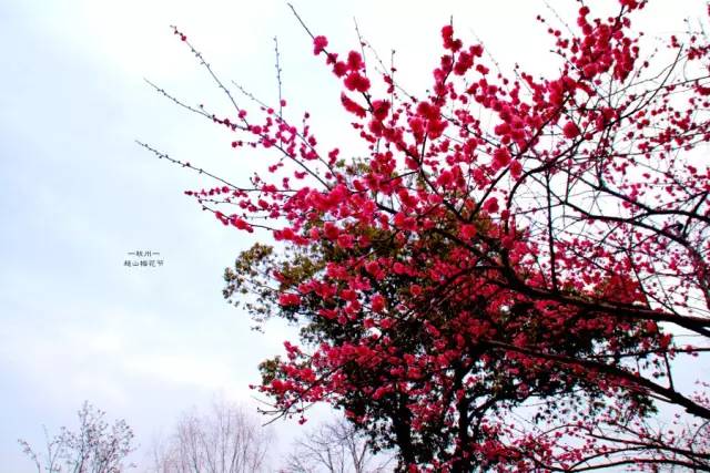 汉中一日游攻略高铁,汉中周边2-3天短途旅游坐高铁