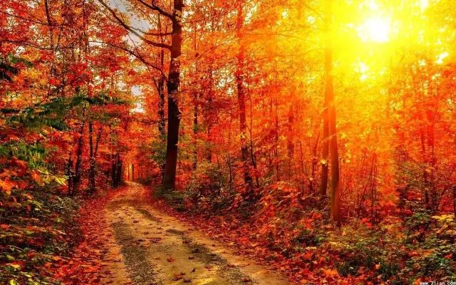 汉中一日游攻略高铁,汉中周边2-3天短途旅游坐高铁