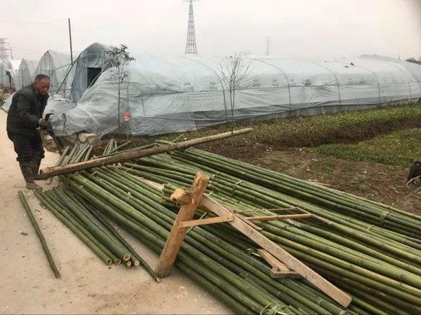 靖江暴雪最新消息,暴雪到了最危险的时候