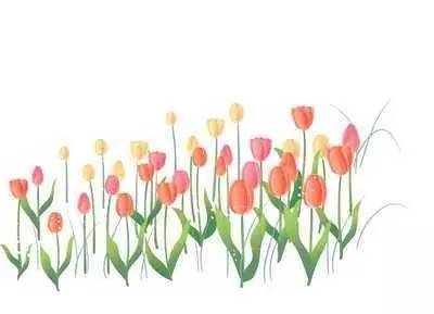 妇产科医生：当我伸手进宫腔，孩子很懂事地握了一下我的手