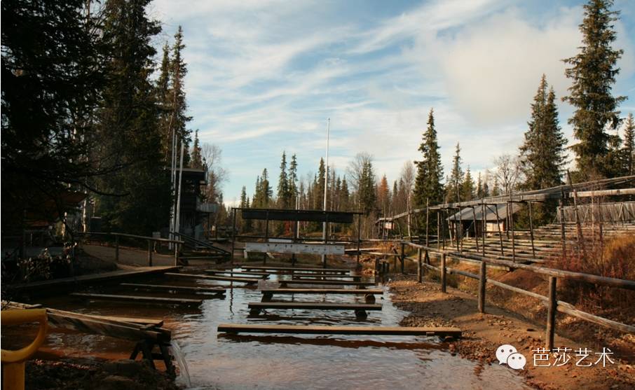 艺术城市｜住在北极圈的圣诞老人，喊你五一去挖金