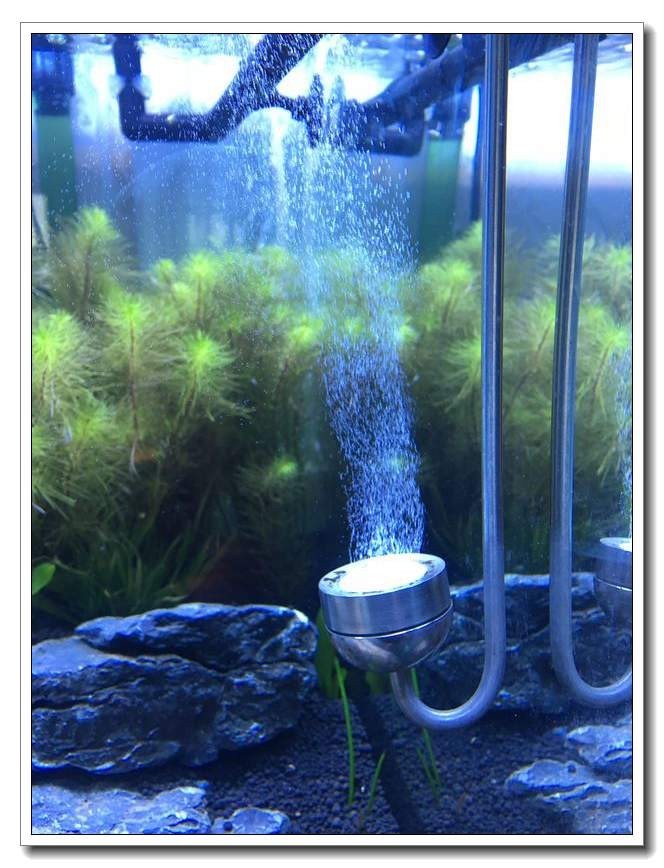 新手入坑的一点感悟,社区演讲精华篇