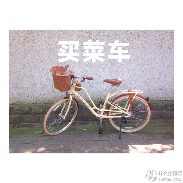 捷安特momentum98,捷安特momentum女士自行车