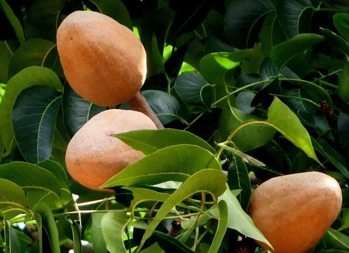 长滩之旅分享篇,长滩旅游行程