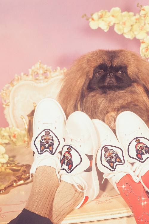 gucci狗狗系列,gucci最新款大狗