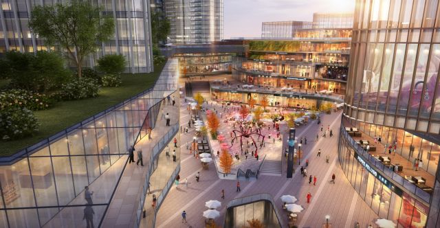 金牛怎么快速成长,金牛走出五年困局