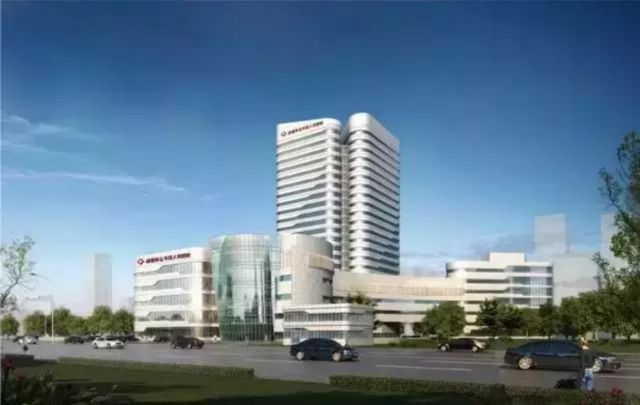 金牛怎么快速成长,金牛走出五年困局