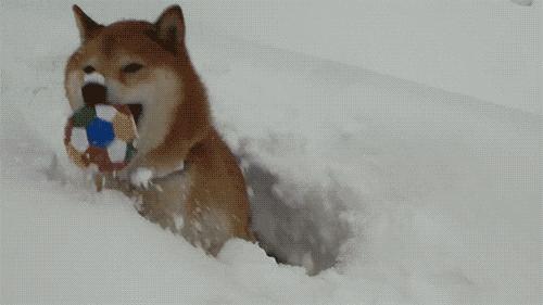 靖江暴雪最新消息,暴雪到了最危险的时候