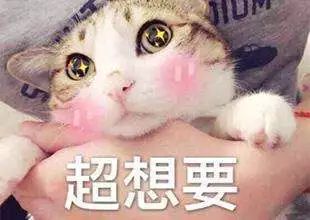 1000到2000轻奢包包推荐,1000左右的轻奢包都有哪些品牌