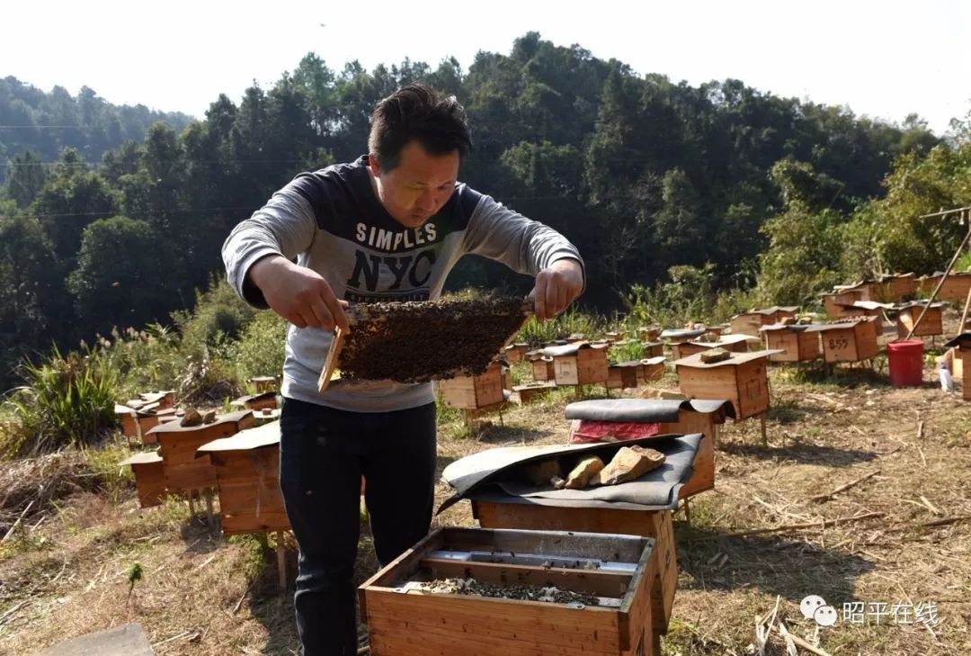 广西昭平北陀平恩村,北陀平恩村