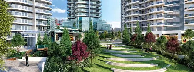 美加边境上的瑰宝：为什么中国买家如此青睐白石镇？