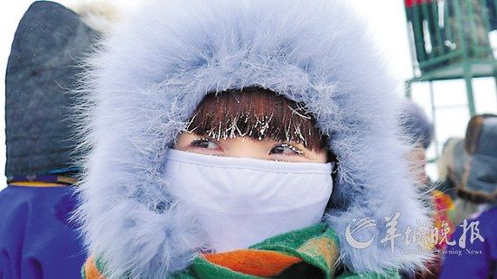 阿尔山森林哪里好玩,真实的阿尔山