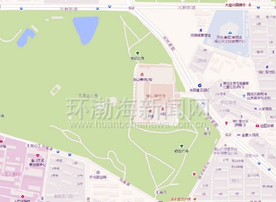 世界十大名蝶图片,世界名蝶图片大全