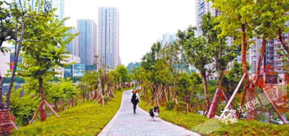 重庆渝北植被,重庆渝北绿化