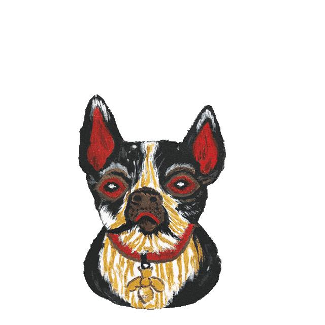 gucci搞怪风,gucci慢动作视频