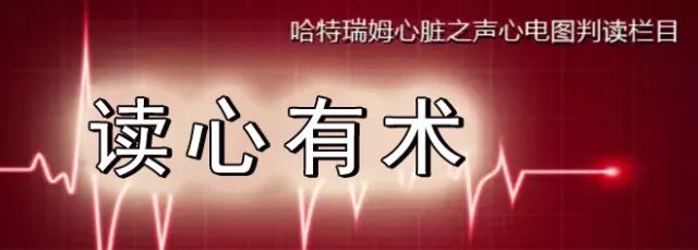 读心有术2004,读心有术深度解析