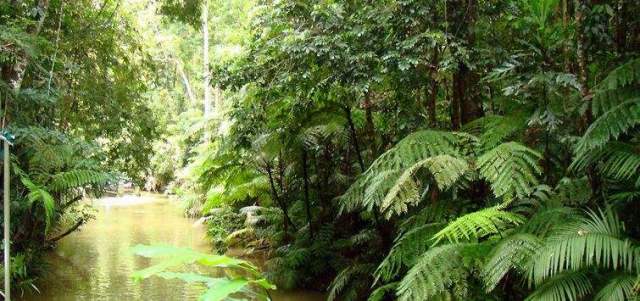 国内自驾帐篷露营地,国内的悬崖绝壁露营地