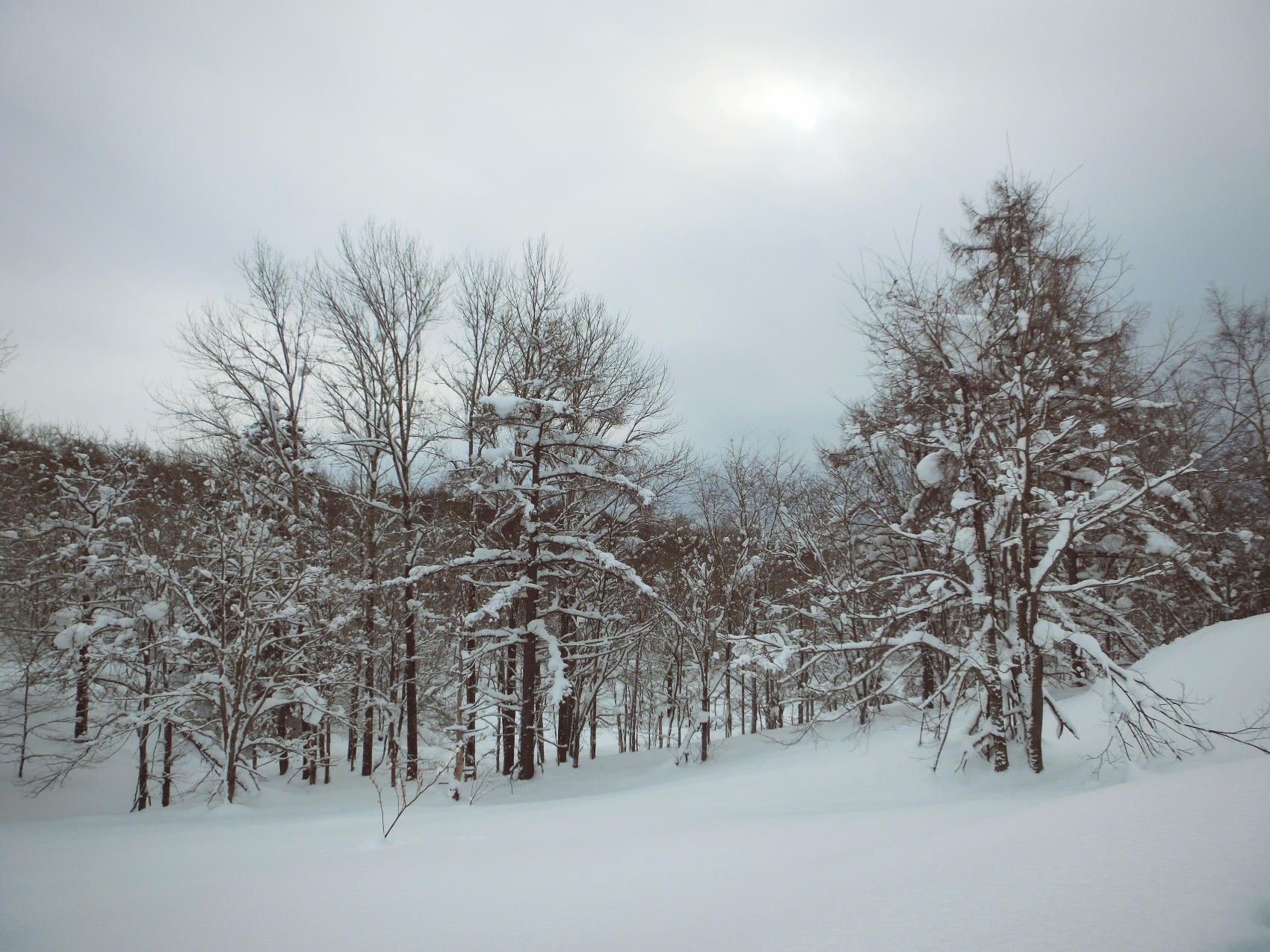 北海道冬日小樽,日本北海道小樽雪夜