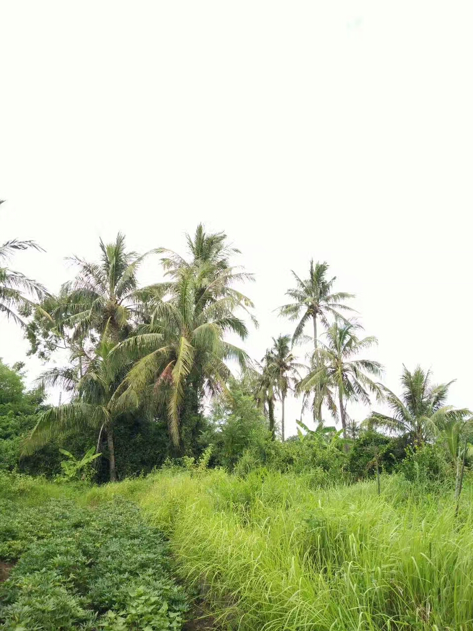 代沟的主要责任在父母,父母和自己的审美代沟