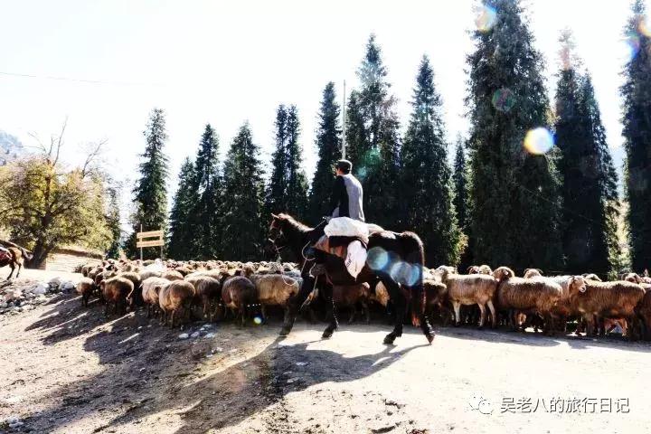去大西北旅行的感悟,去西北旅行的感悟