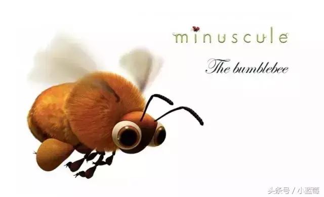 除了《粉红猪小妹》，我还带小蓝莓看这些优质动画片