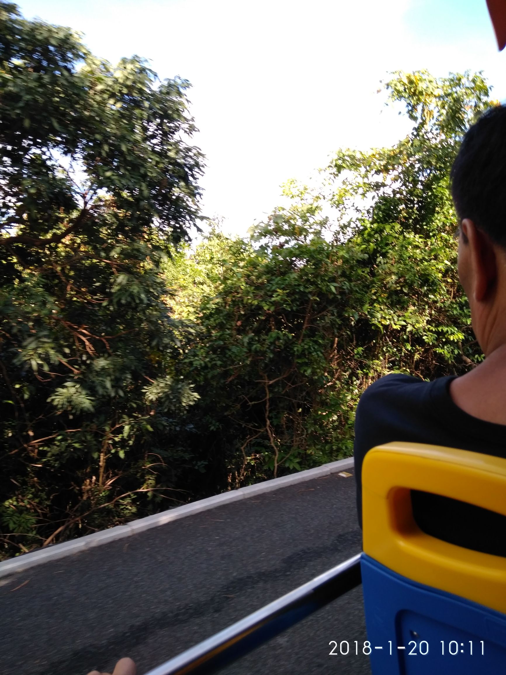 三亚亚龙湾热带天堂森林公园,三亚游玩攻略亚龙湾森林天堂