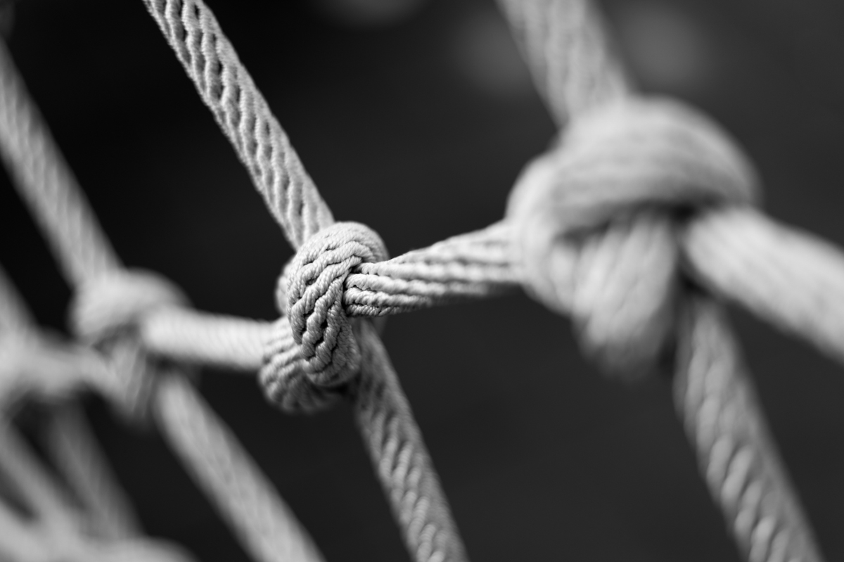 新机尼康新手入门单反推荐,新手入尼康全画幅和半画幅