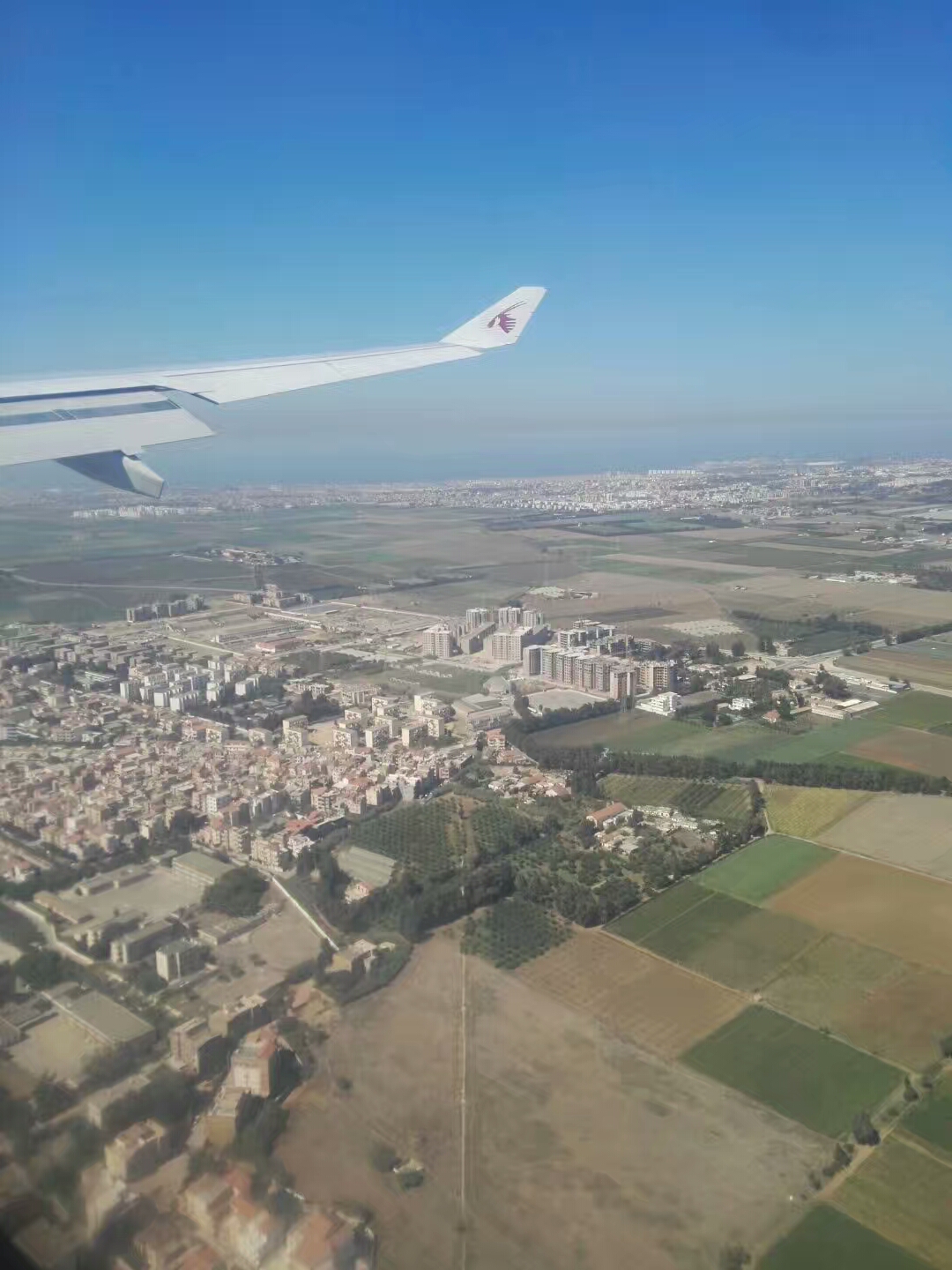 美女翻译跑非洲阿尔及利亚创业，分享阿国注册公司流程与政策扶持