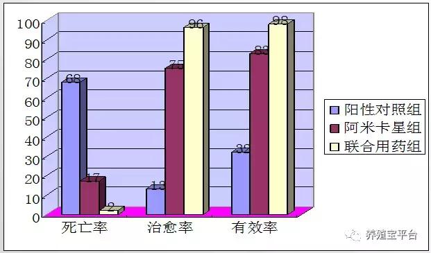 养鸡需要打哪些疫苗,养鸡神药到底是什么