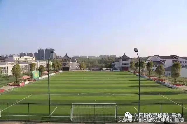 信阳蚂蚁足球俱乐部假日足球赛,信阳蚂蚁足球俱乐部青训班