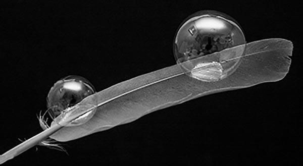 世界名曲欣赏经典,世界名曲欣赏自然风光