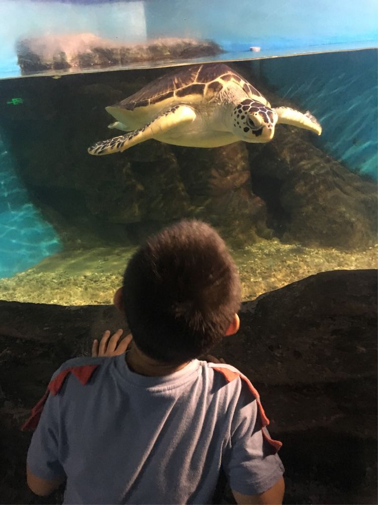小屁孩的南京之旅,记录小屁孩的旅途
