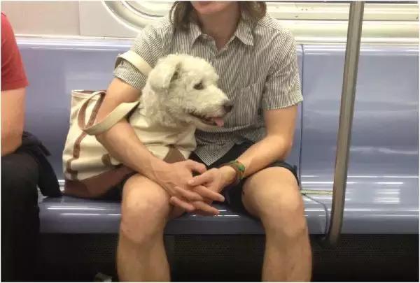 歪果仁玩法视频教程,歪果仁最佳玩法