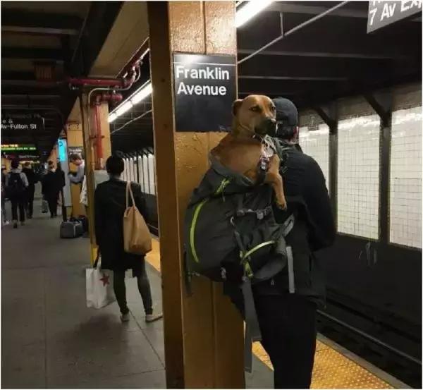 歪果仁玩法视频教程,歪果仁最佳玩法