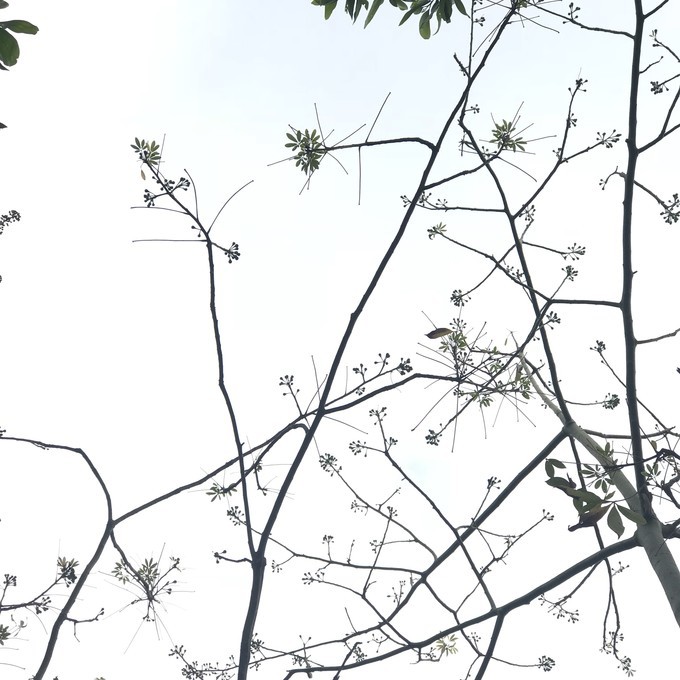 海南·三亚，成全了我的碧海蓝天