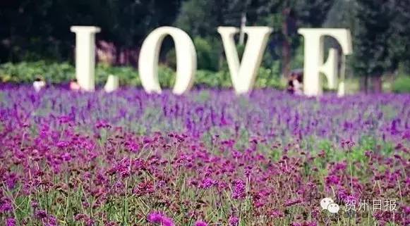 腾飞的昭平！中国最美骑行县，即将诞生！