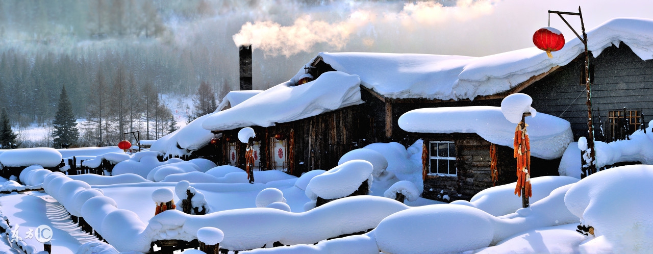 狗年一定要旺财吗,2020本命年狗年要注意什么