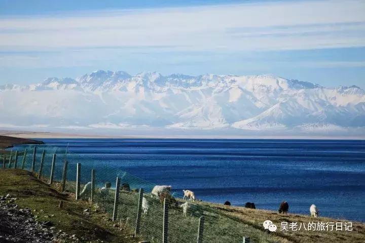 去大西北旅行的感悟,去西北旅行的感悟