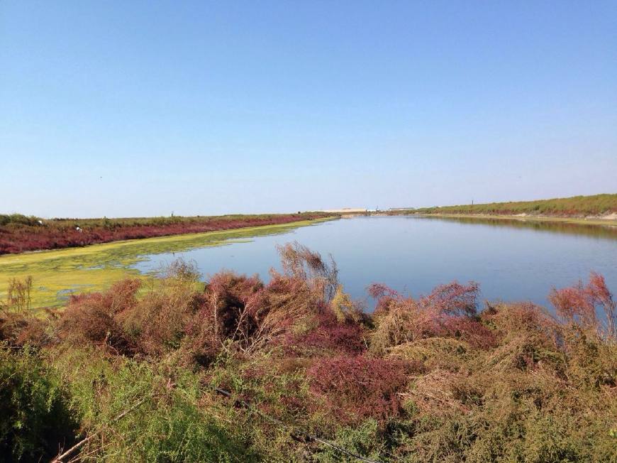 辽宁省交通枢纽城市,辽宁铁路枢纽中心城市