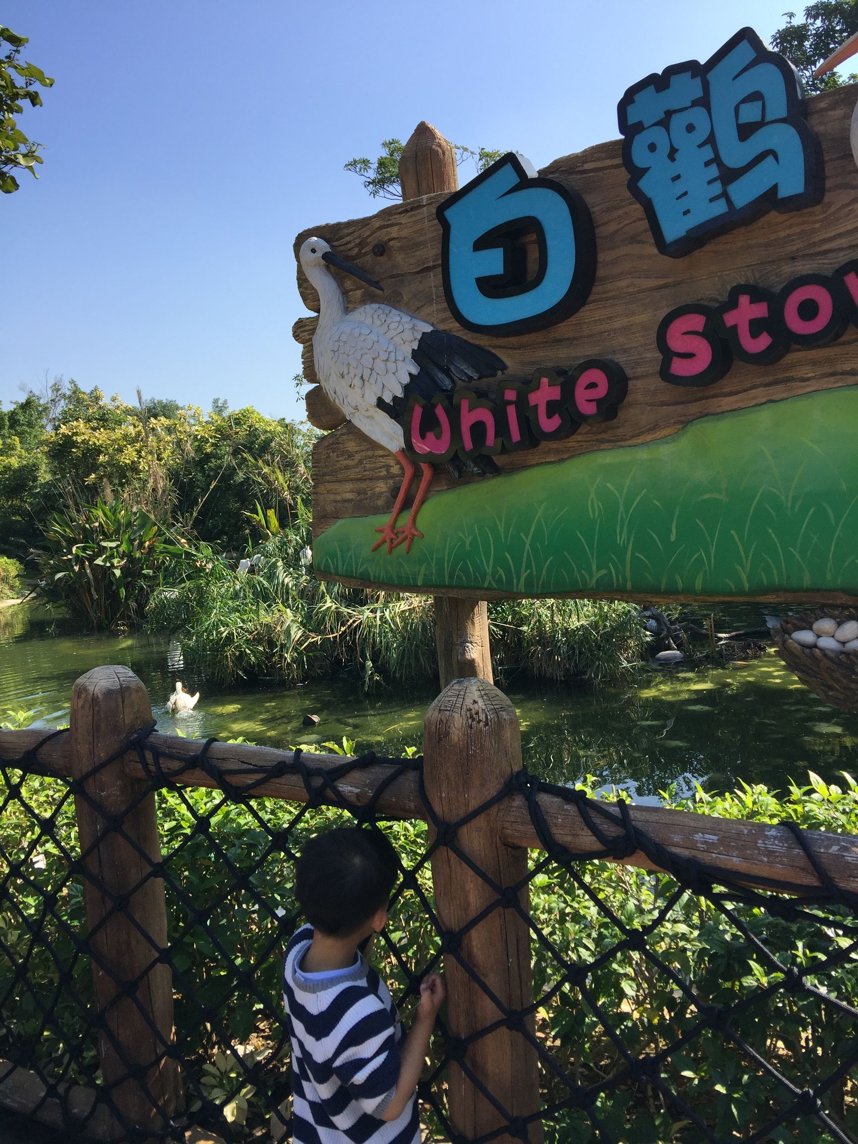 珠海长隆水上乐园亲子游攻略,珠海长隆企鹅酒店攻略亲子游