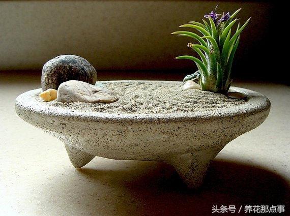 在办公室里应该摆什么样的花,高山流水盆景办公室小禅意