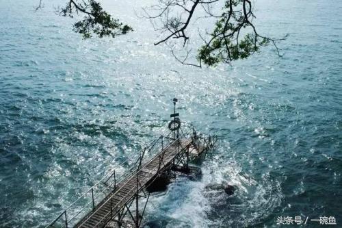 香港尖沙咀有什么地方可以逛,香港不只有繁华更有市井