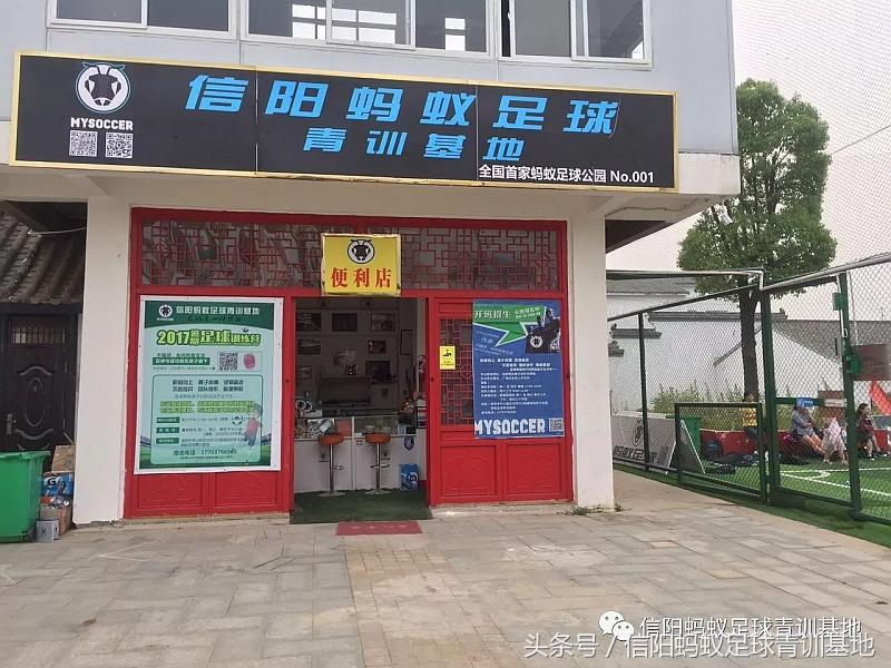 信阳蚂蚁足球俱乐部假日足球赛,信阳蚂蚁足球俱乐部青训班