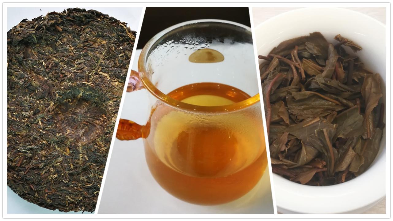 茶友聊茶12期：拔玛古茶，果香型不淡不酽的甘甜—南糯山最好的茶